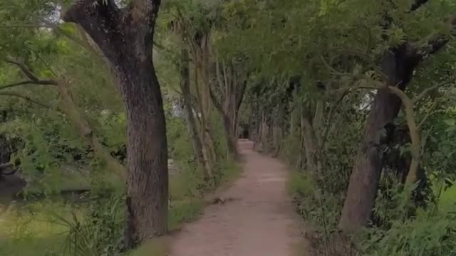 Nature view in the village of Bangladesh.