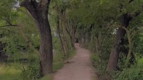 Nature view in the village of Bangladesh.