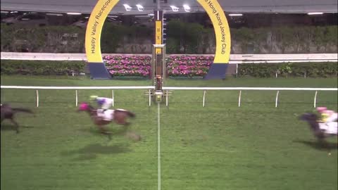Horse_Race_2022052506_Chinese