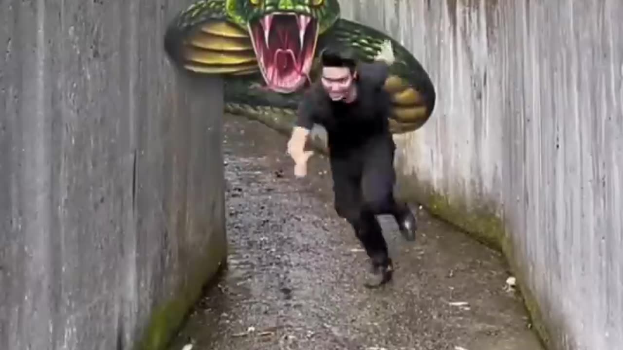 chekout respecting moment 🔥