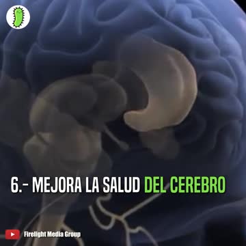 Los sorprendentes beneficios de comer 5 nueces al día