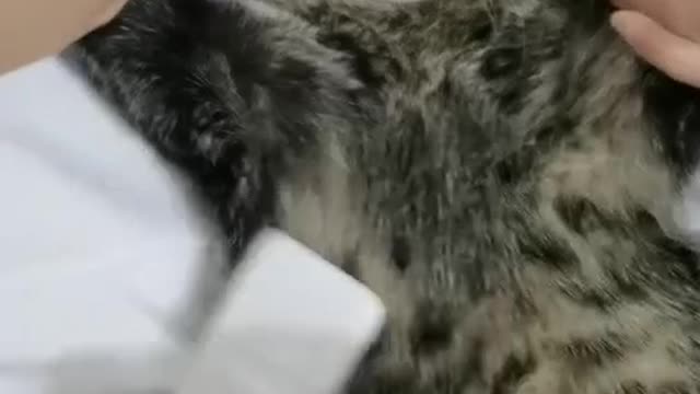 This little guy is having so much fun