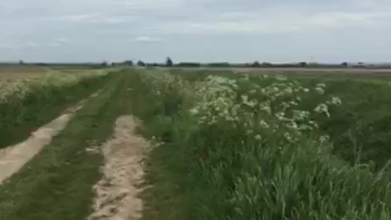 EBS - INTEL FROM A VERY HIGH UP SOURCE