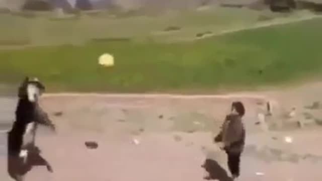 Amazing goat playing ball with a head (Cute Video)