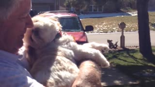 Dogs Really Can Sing! Just Ask Sydney!