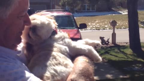 Dogs Really Can Sing! Just Ask Sydney!