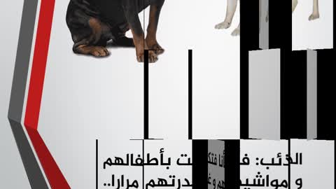 عتاب بين الكلب والذئب..