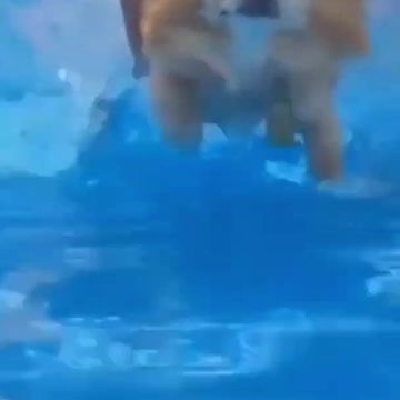 How to swimming-HILARIOUS