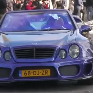 🚗 Scenic Drive Journey through Dense Woods