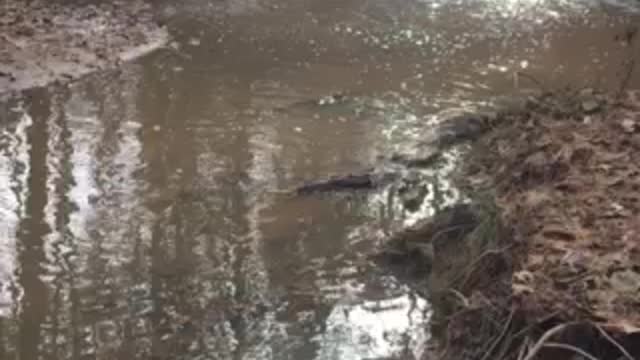 MS Creek waterfall