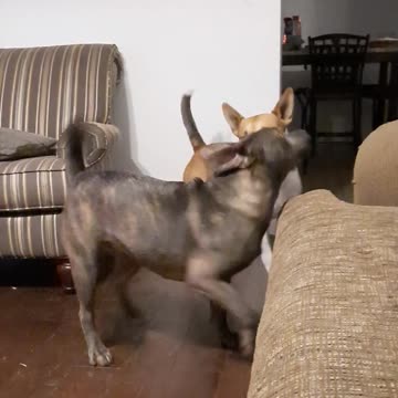 Tucker Carlson Switches Sides