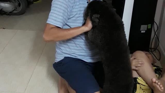 Puppy Protects Boy From Pretending Father