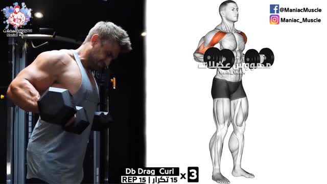 Full Body HOME Dumbbell WORKOUT (squats, chest ,triceps, biceps , back,shoulder, wrist, Calves )