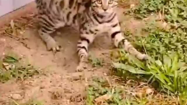 Cute Moments
