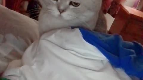 It looks so sad
