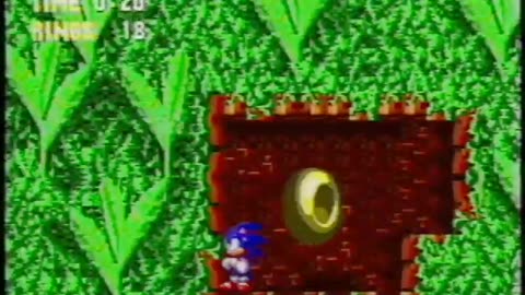 Sonic the Hedgehog 3 - Anti-Piracy Screen - First Special Stage