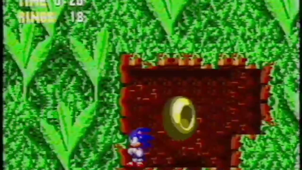 Sonic the Hedgehog 3 - Anti-Piracy Screen - First Special Stage