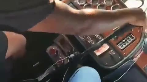 Peter Bilt 379 takes you flying