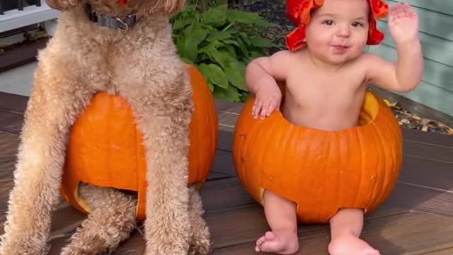 when your human decides to have you participate in the fall activities too
