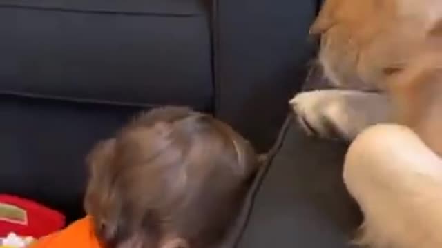 Adorable Baby and dog