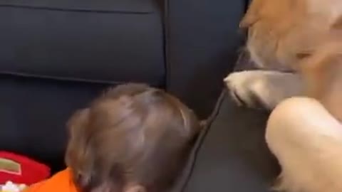 Adorable Baby and dog