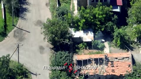 Staromlynivka_13.08.2023