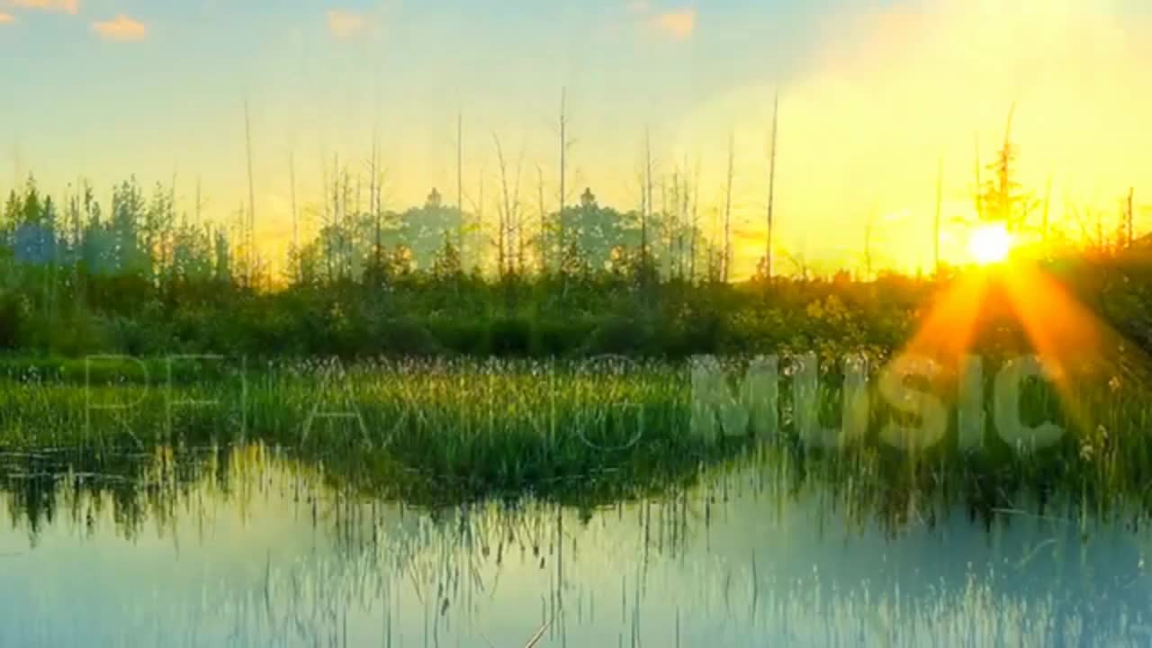 Try Listening for 3 Minutes] FALL ASLEEP FAST | DEEP SLEEP RELAXING MUSIC