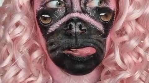 Dog on funny makeup