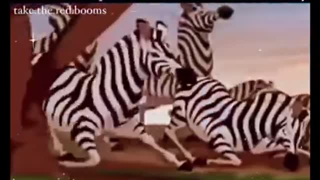 Sacrificed their own children