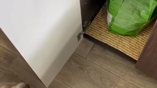 Попрошайки