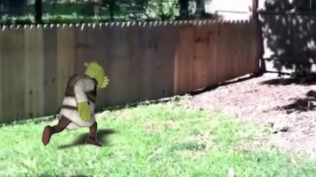 Shrek jump in the fence