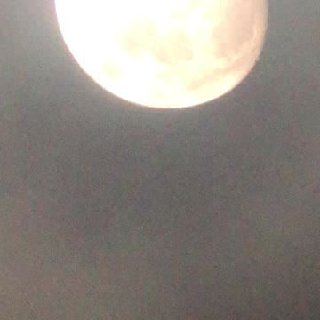 The moon