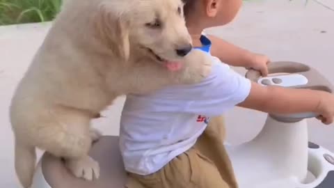 Funny dog & boy