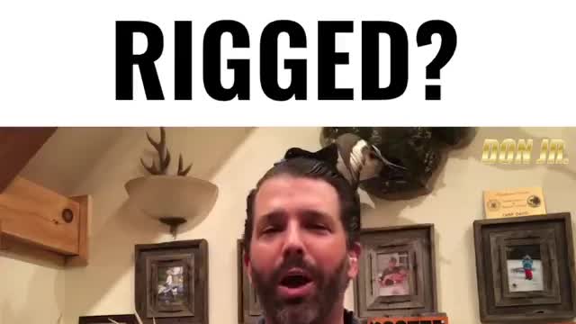 Don Jr. Is it all rigged?