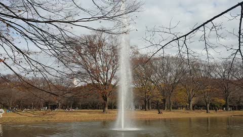 TOKYO yoyogi koyen so beautiful