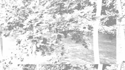 Andrius Vaiciulis - Story