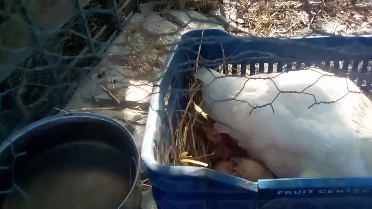 ΟΠΩΣ ΤΟ ΠΑΛΙΌ ΚΑΙΡΟ