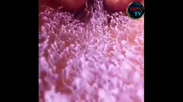 জীবের বংশগতির আলোচনা