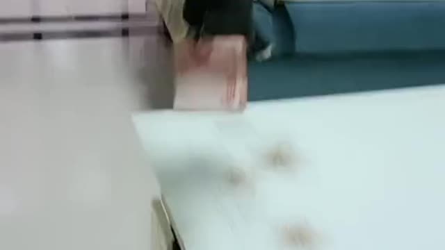 打劫 #上熱門 #玩具