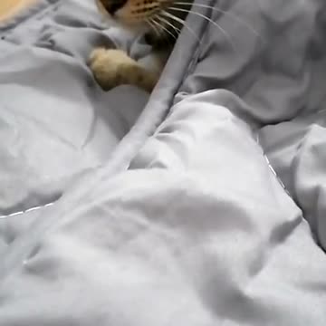 I’ll give you a massage