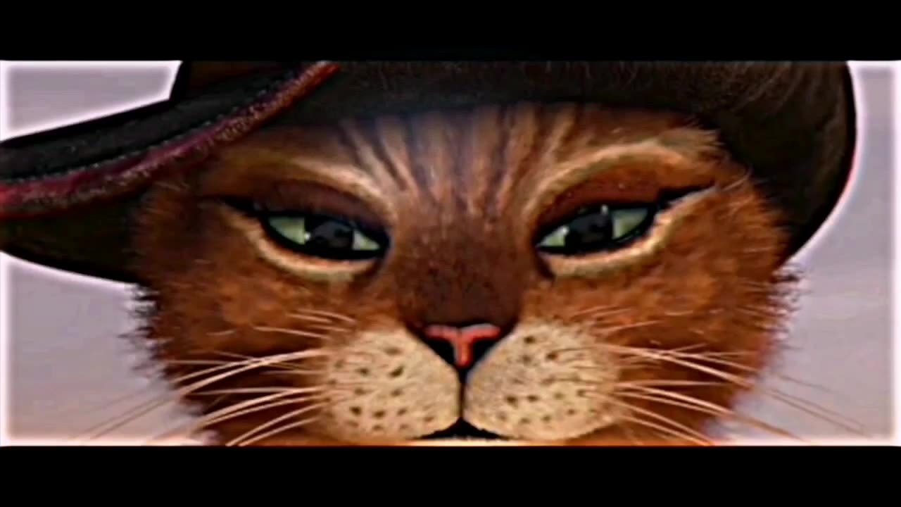 Puss in bootsVideo Edit