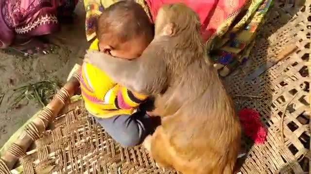 Monkey Rani Amazing Video मंकी रानी बच्चों के साथ खेलती है i love Animals