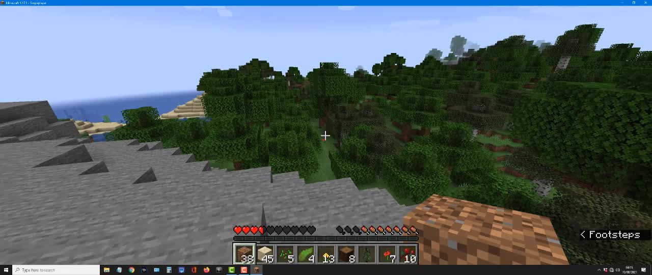 minecraft1.17.1hacks_minecrafthacks_minecrafttiktok_shorts_Short_53
