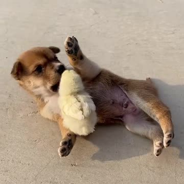 My friend on the road