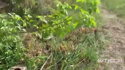 Two of the newest Russian BMP-3s were driven out of battle. 98th Battalion TRO Azov