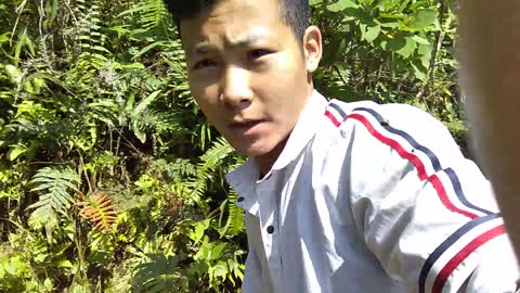 Videos phim Việt Nam