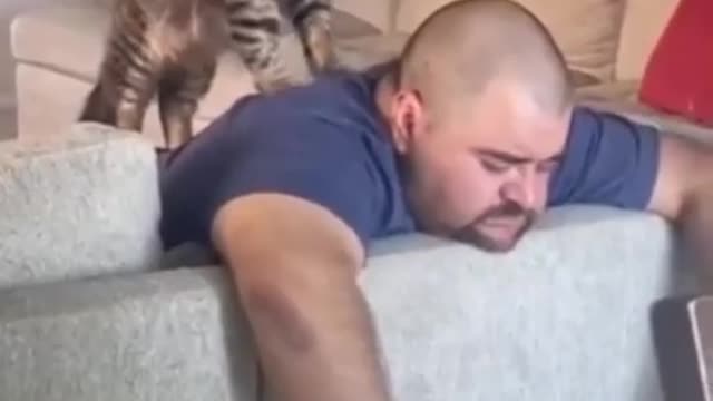 what a cat...!