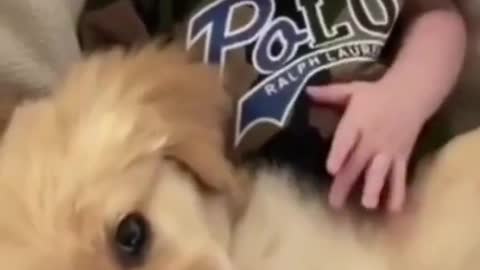 Cute Baby | Cute Dog Video