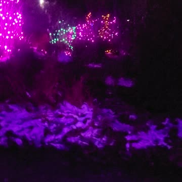 Christmas lights and music