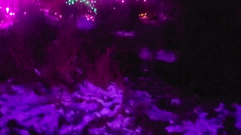 Christmas lights and music